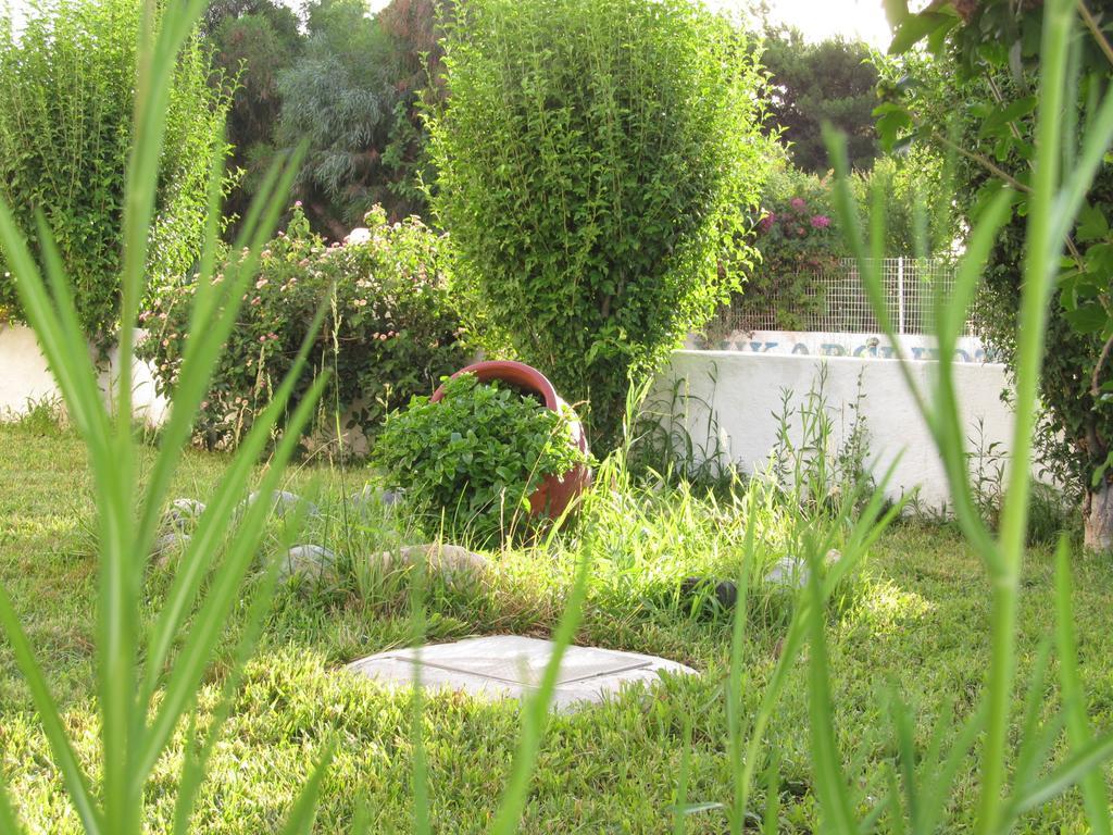 Apartment Greek Islands Kardamena (Kos)